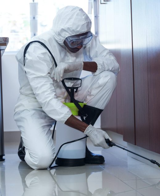 Fumigation services in nairobi